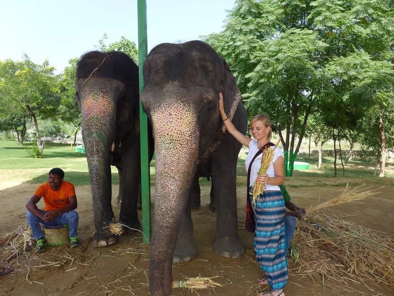 Tempo Traveller Gallery