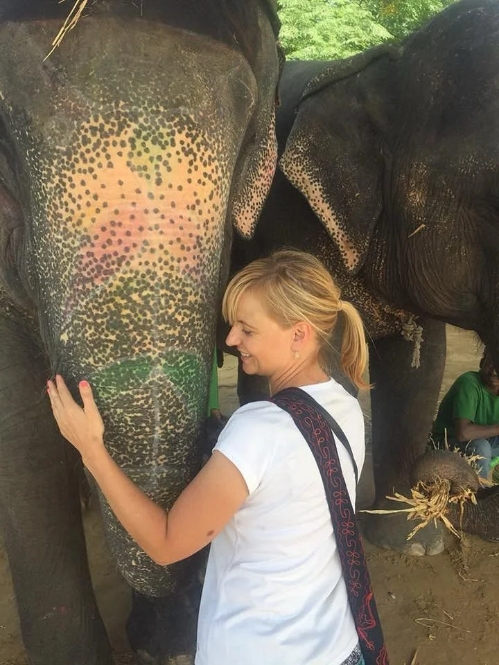 Tempo Traveller Gallery