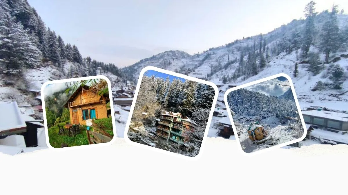 3-Day Itinerary for Delhi to Jibhi Tour by Tempo Traveller