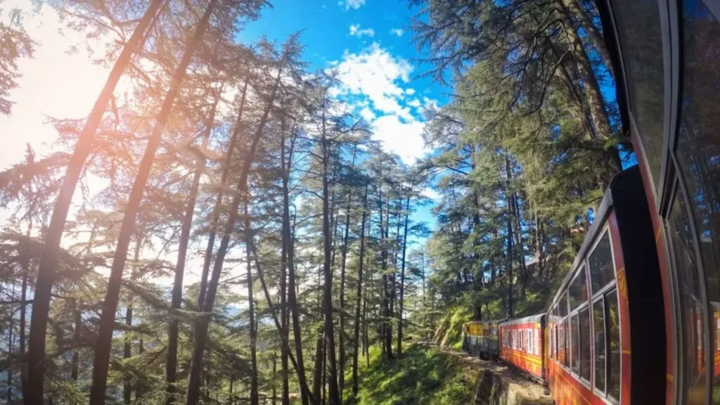 Shimla