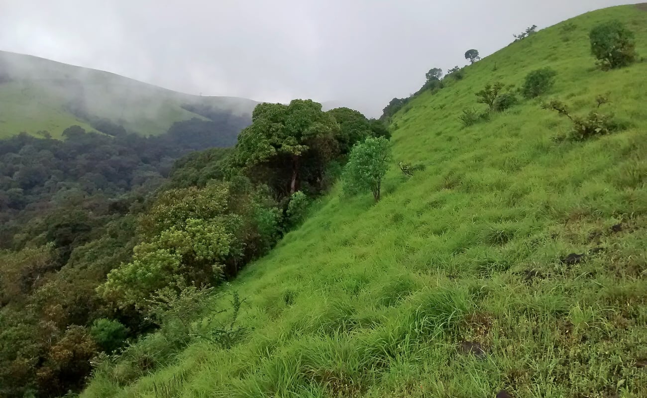 Himachal Tour Exotic Land Of HillsExperience India Tour