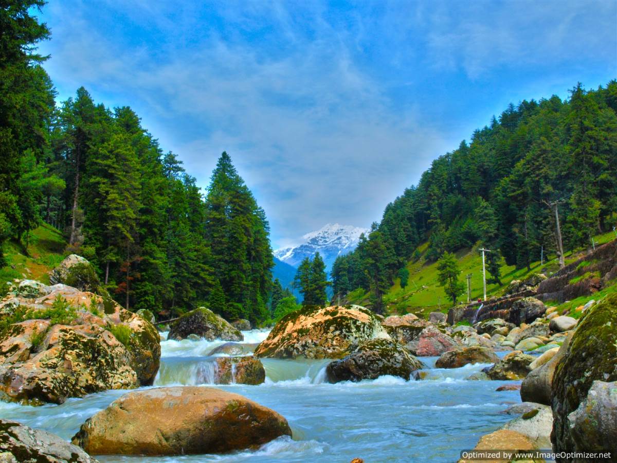 Delhi to Jammu Kashmir Tour by Tempo Traveller on Rent